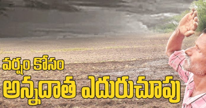 Farmers wait for rain