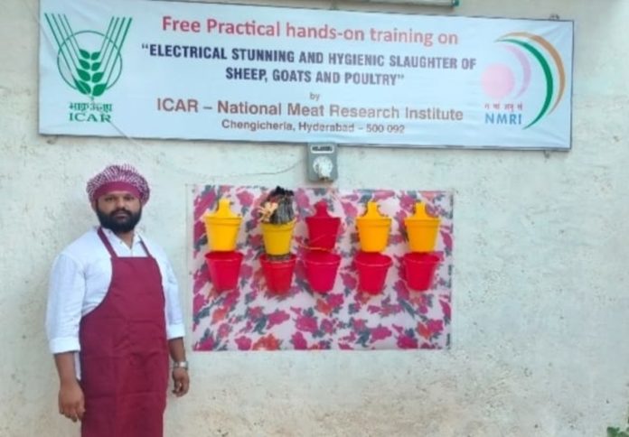 Free training on stunning for chicken centers