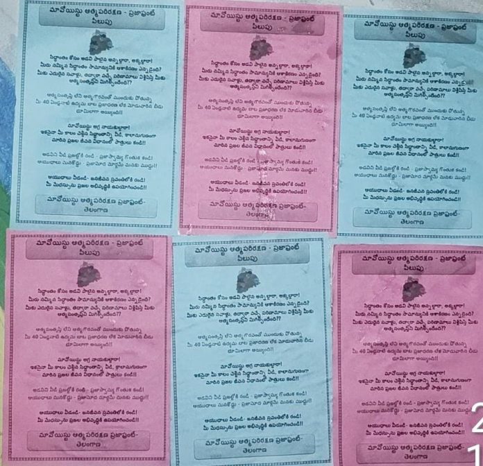 Posters against Maoists in Palimela