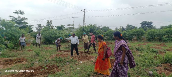 Identification of places for planting saplings by public representatives
