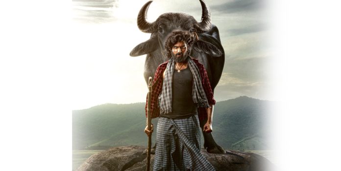 Powerful 'Maremma'