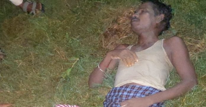 Mason dies after falling into pond