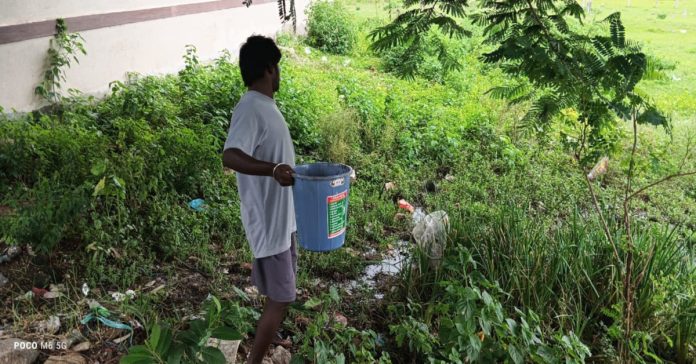 Oil balls released to prevent mosquitoes