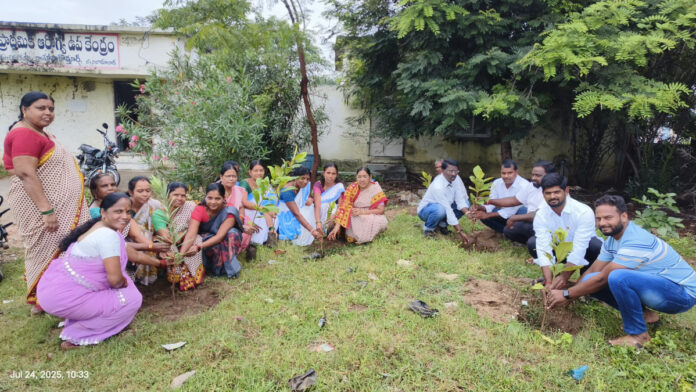 Plantation program under the auspices of Congress