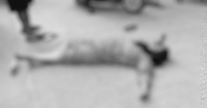 Road accident in Manikonda.. Woman dies