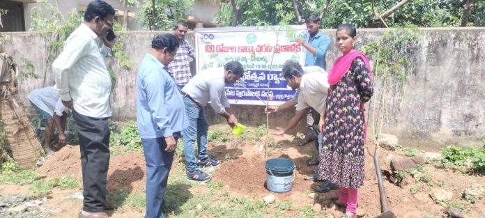 Saplings should be planted in every office: Commissioner Nagaraju