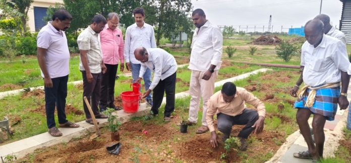 Trees are the lifeblood of every living being: MPDO