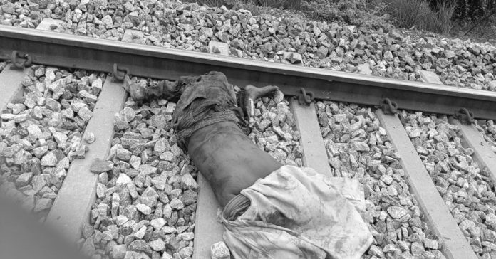 Unidentified man dies after being hit by train
