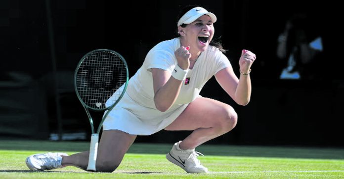 Anisimova sensation