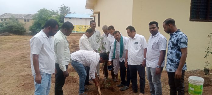 Window Chairman who planted plants