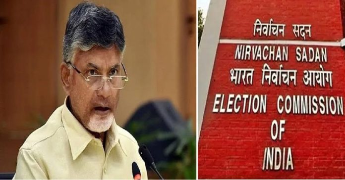 ec tdp