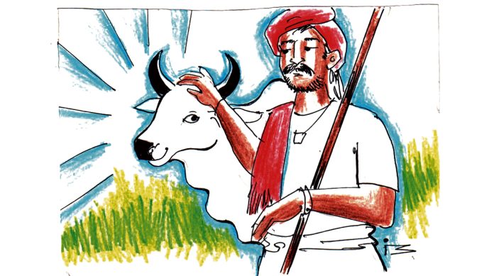 The missing cow