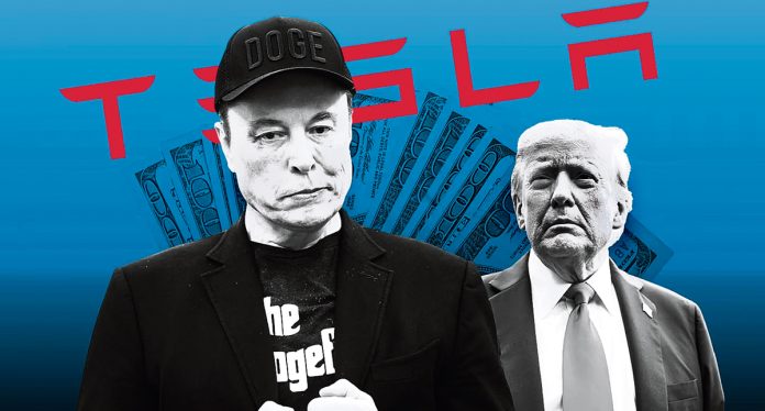 Musk, Trump