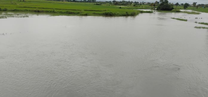 4.8 rainfall recorded in the mandal