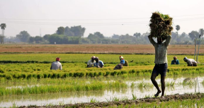 5,713 farmers for farmer insurance!