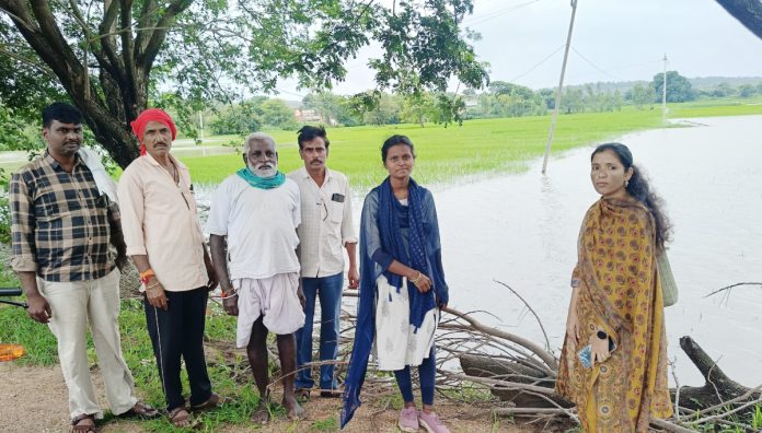 AO inspects crop damage at field level