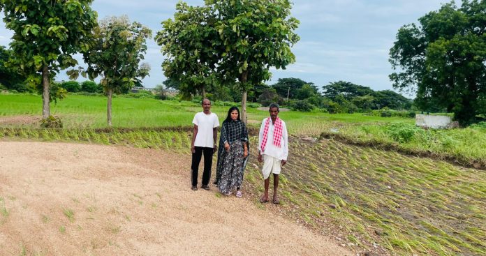 Agricultural officials inspect crops damaged by rains