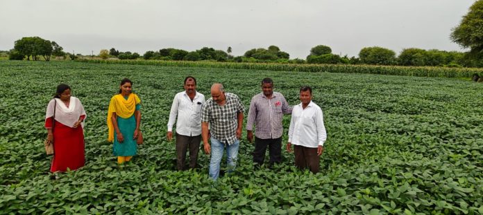 Agricultural officials inspected the crops