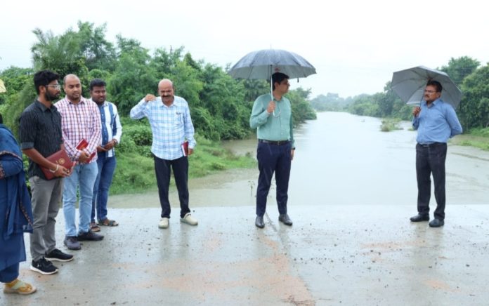 All people should be vigilant: Collector