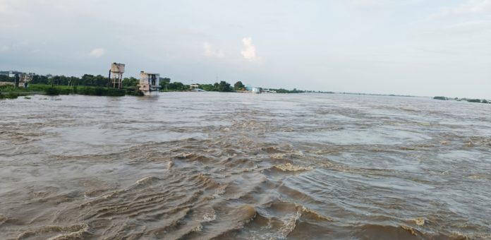 Basara Godavari is a raging river..