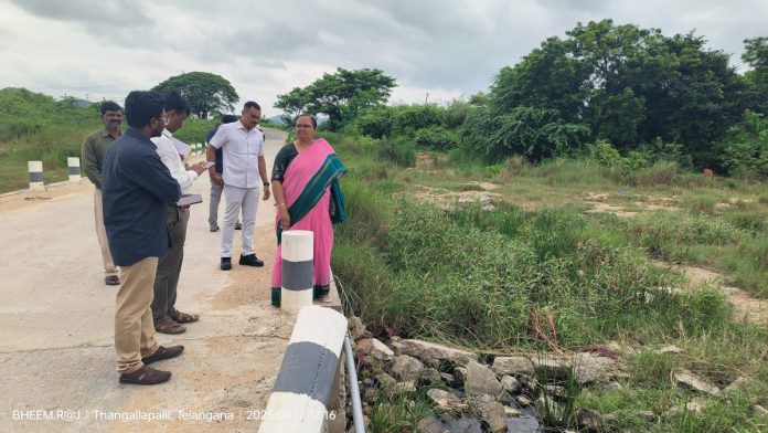 Collector inspects low-level bridges