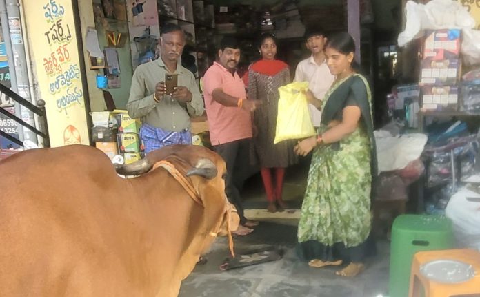 Cow mother from house to house