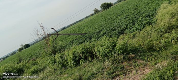Dangerous electricity poles... Officials ignore them