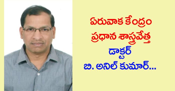 Farmers should take advantage of the current rains...