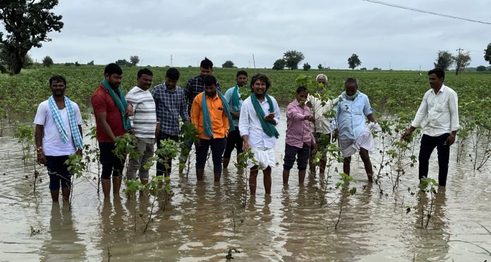 Field inspection of damaged crops