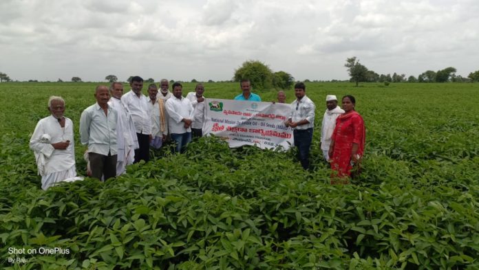 Field training on soybean cultivation in Pedda Sakkarga