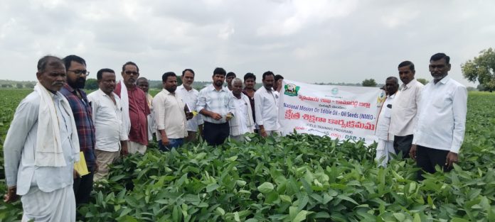 Field training program on soybean cultivation