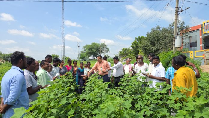 Here are the positive results with nano urea..