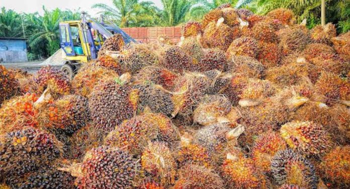 Increased palm oil prices