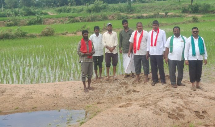 Inspection of damaged crop fields..