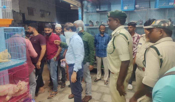 Lightning raids by forest department officials in the city