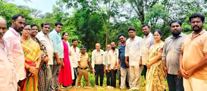 Plantation of floating trees in the village hill