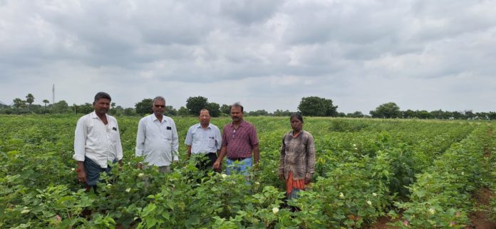 Scientists who visited the crops....