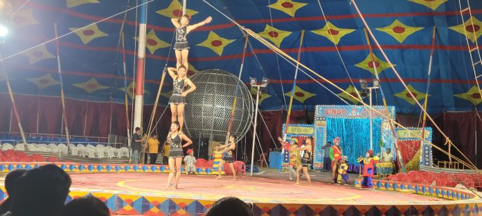 The Bingo Circus is bustling with activity.
