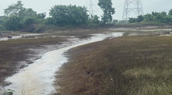 The broken Ramsagar pond..