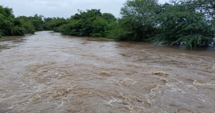 The mighty Peddaedgi - Nagulgaon stream flowing wildly