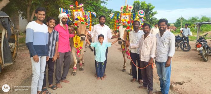 The new moon festival of the cattle fields is celebrated in Padampalli.