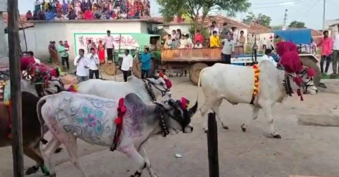 The new moon of the cattle fields is celebrated.