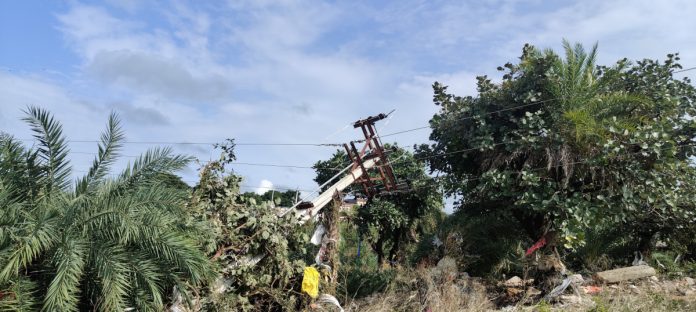 The staff who risked their lives to provide electricity to villages