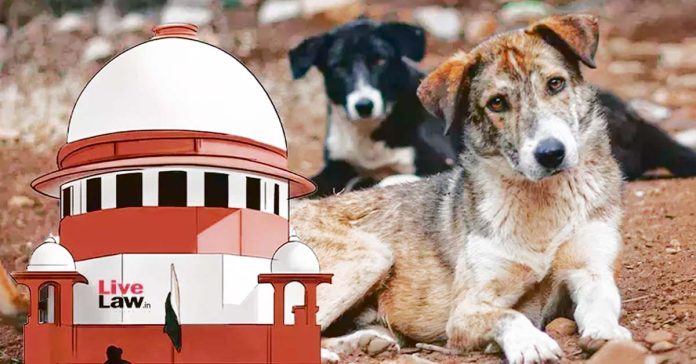వీధి కుక్కలు