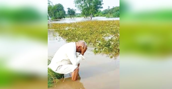 భారీ వర్షాలతో లక్ష ఎకరాల్లో పంట నష్టం