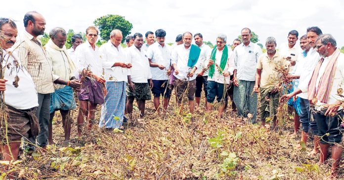 భారీ వర్షాలకు దెబ్బతిన్న పంటలకు నష్టపరిహారం చెల్లించాలి
