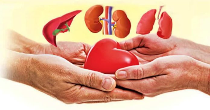 Telangana tops in organ donation