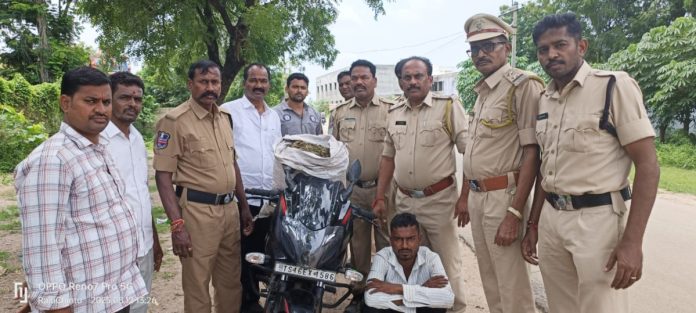 Young man arrested for smuggling marijuana