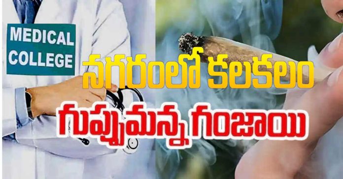 ganja case in medicity medical college