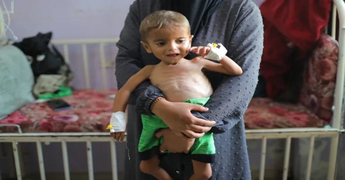 gaza famine